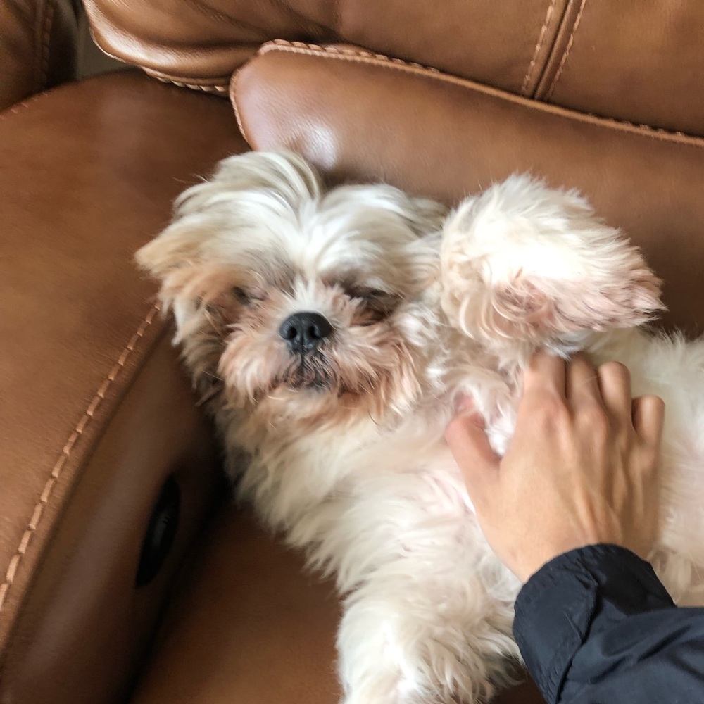 Meet your Posher, Edd